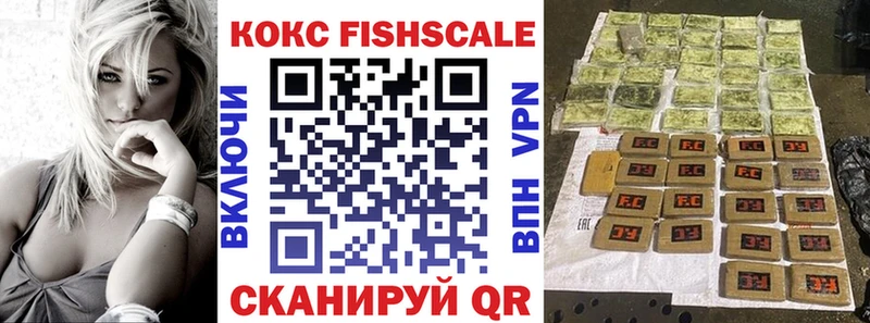 МЕГА   цена наркотик  Окуловка  Кокаин FishScale 