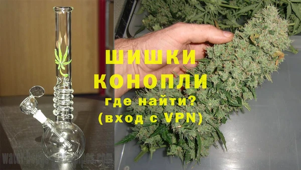 спайс Аркадак