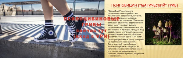 спайс Аркадак