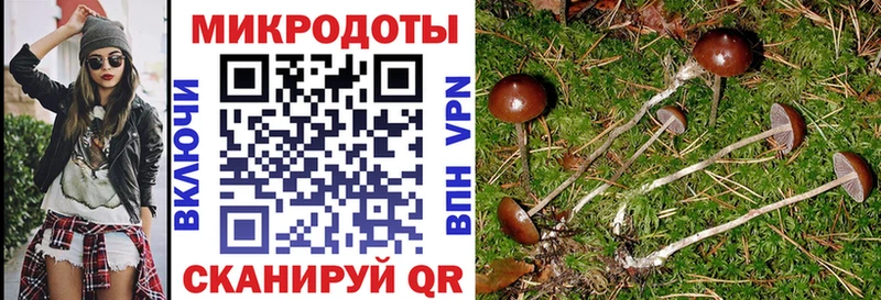 Псилоцибиновые грибы GOLDEN TEACHER  Окуловка 